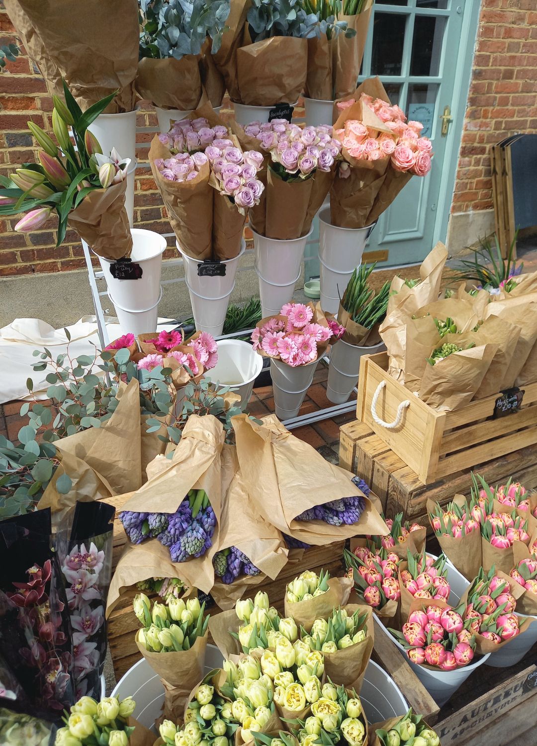 coastal grandma summer activities