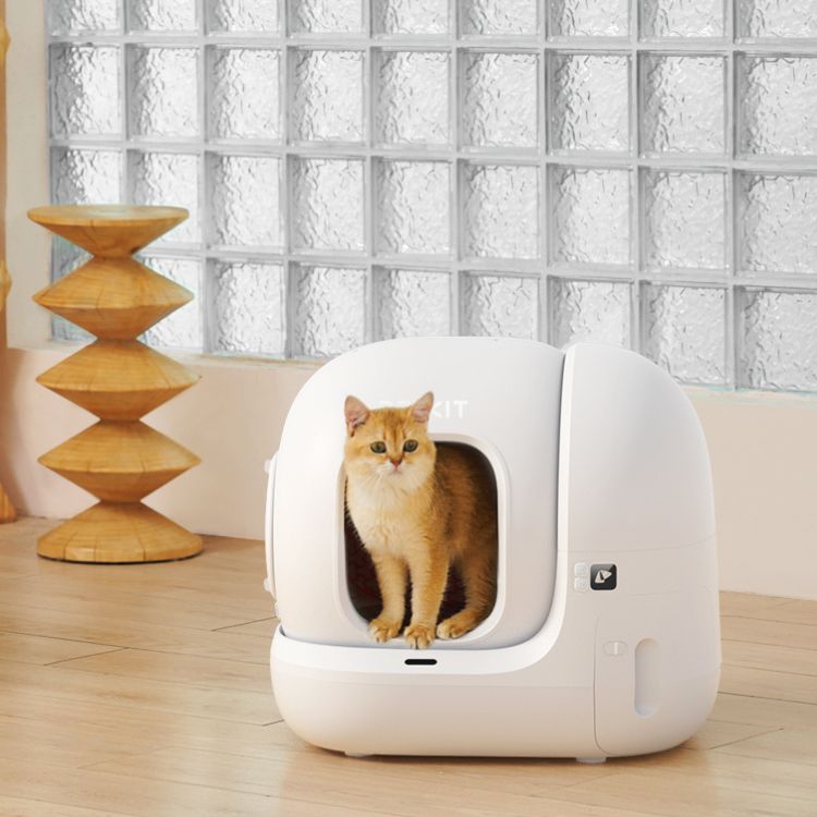Automatic Cat Litter Box