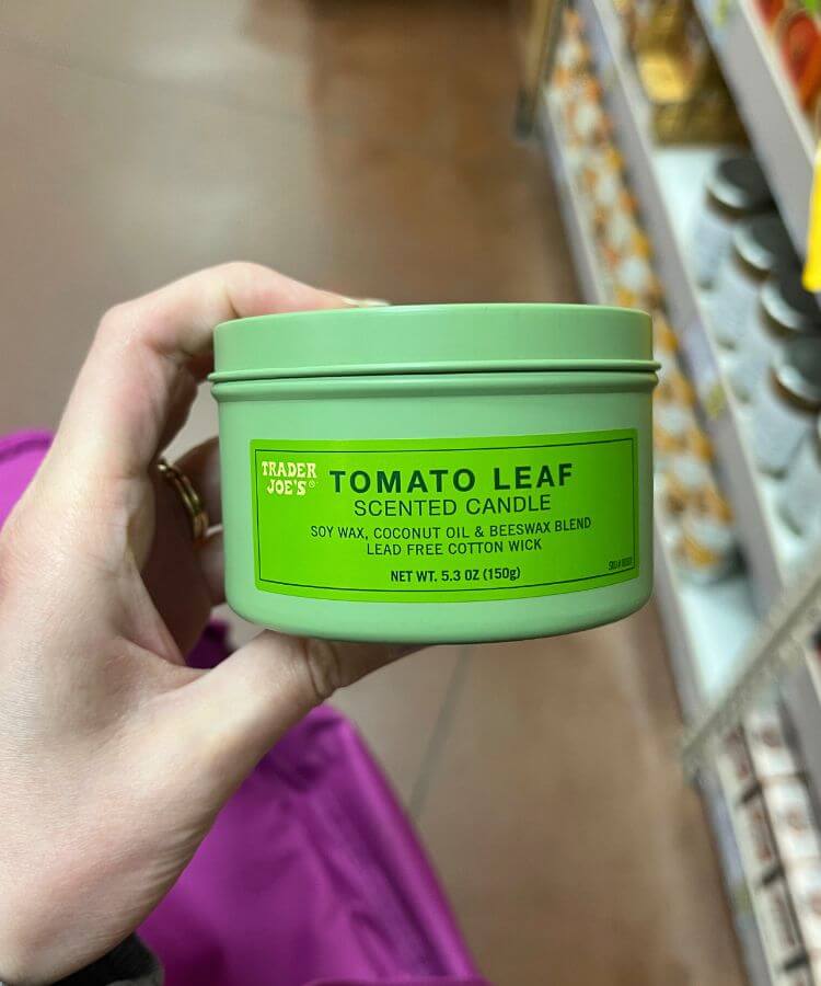 spring trader joe's products tomato leaf candle
