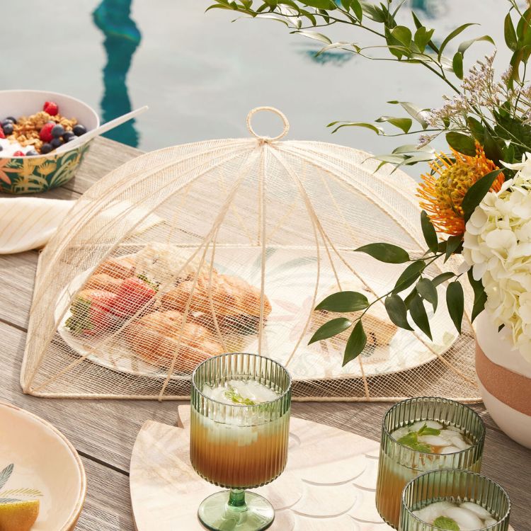 Mesh Outdoor Food Cover