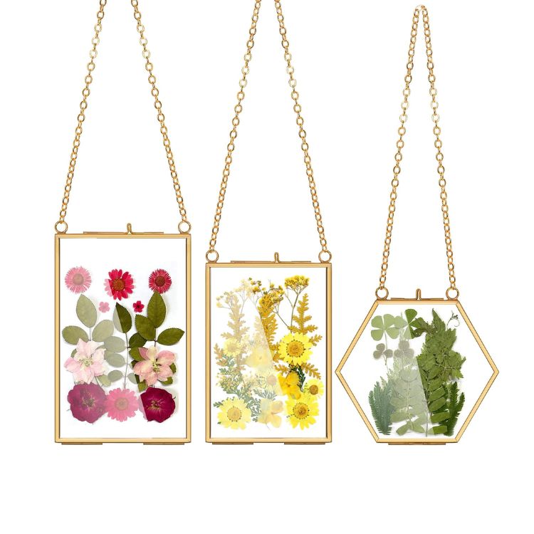 Pressed Flowers Glass Frames